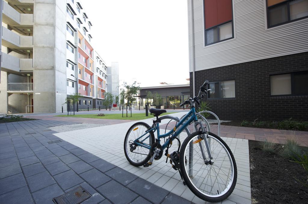 Ecu - Mt Lawley Vandrerhjem Perth Eksteriør bilde